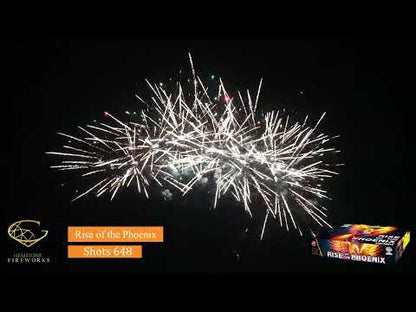 Gemstone Fireworks | Rise Of The Phoenix 648 Shot Display Barrage
